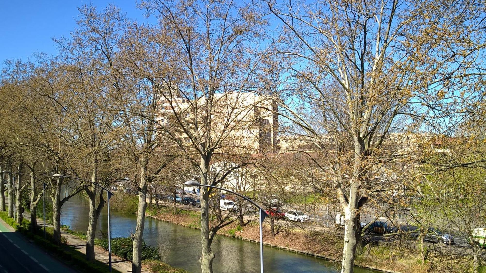 Appartement Matabiau Toulouse Dış mekan fotoğraf