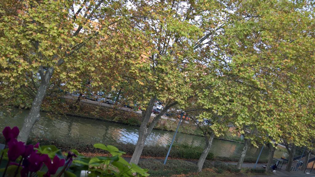 Appartement Matabiau Toulouse Dış mekan fotoğraf